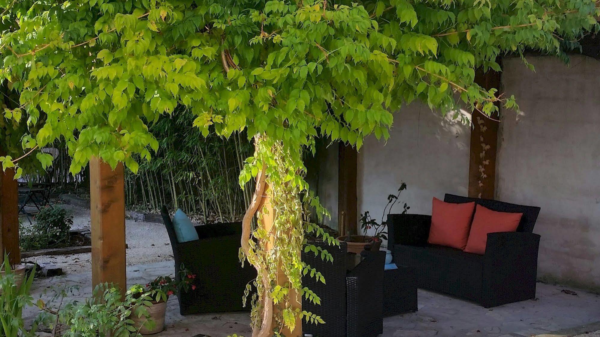 Le Synaya Hotel Sanary-sur-Mer Kültér fotó
